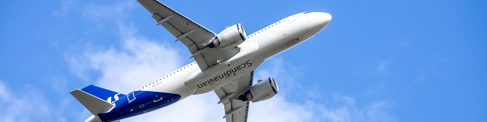 1642569672421195.jpg 1.jpg