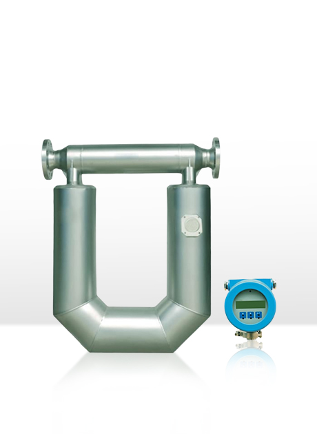 GMF900-P P系列科里奧利質(zhì)量流量計(jì)