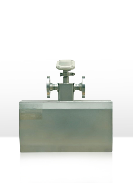 GMF900-C C系列科里奧利質(zhì)量流量計(jì)