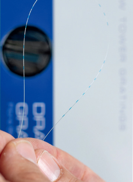 拉絲塔(DTG?s)光柵